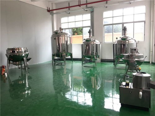 跨界融合 中小型番茄醬生產線與家用視聽設備銷售的協同發展——以崇左南洋食品機械為例