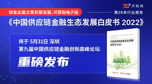 實(shí)業(yè)投資 大消費(fèi)領(lǐng)域的堅(jiān)實(shí)基石與未來(lái)機(jī)遇